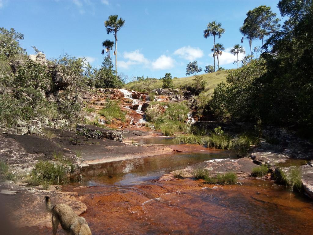 Fazenda Rosmaninho Alto Paraíso de Goiás