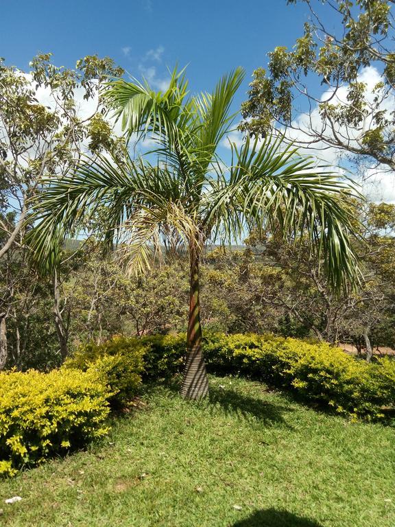 Fazenda Rosmaninho * Alto Paraíso de Goiás