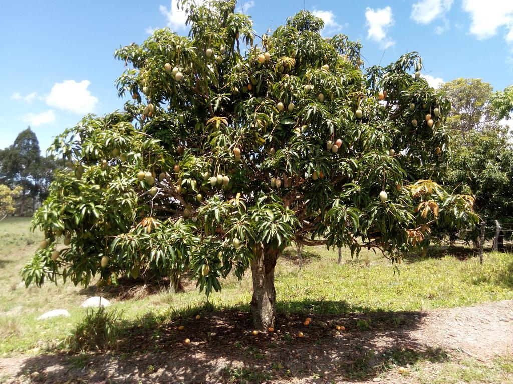 Lodge Fazenda Rosmaninho *